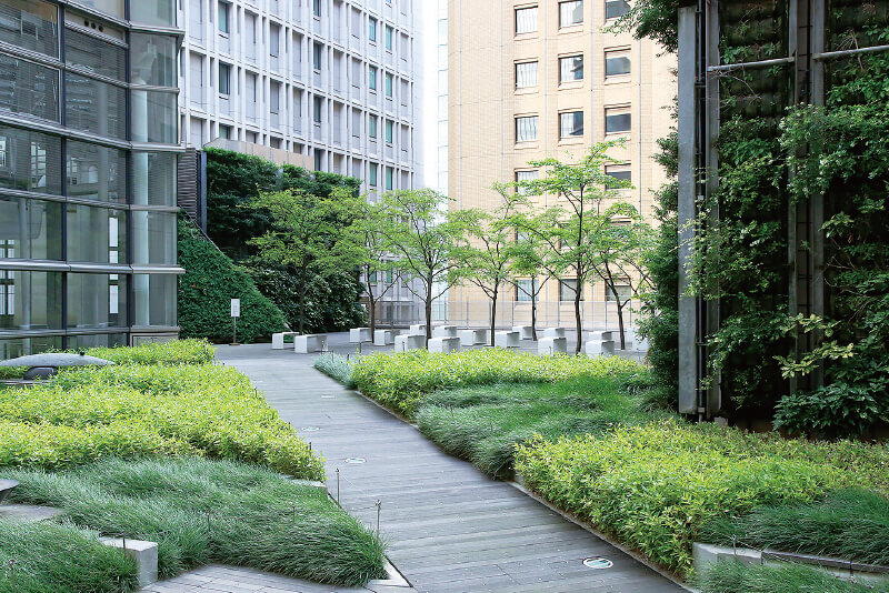 丸の内オアゾ 屋上庭園