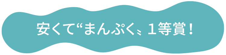 安くて“まんぷく”１等賞！