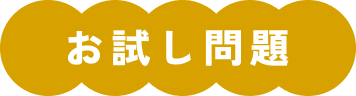 お試し問題