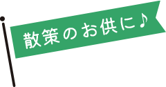 フラッグイメージ1