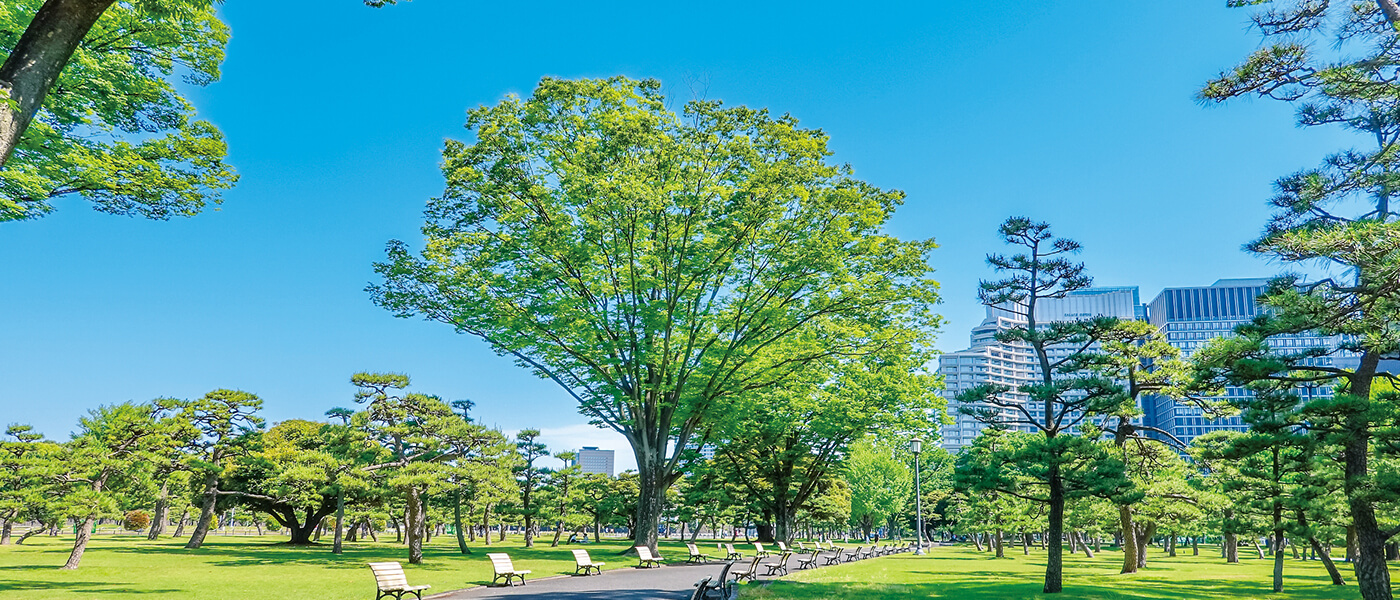 春を探しに行こう＜皇居外苑・日比谷公園編＞