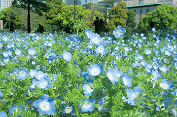 日比谷公園イメージ3